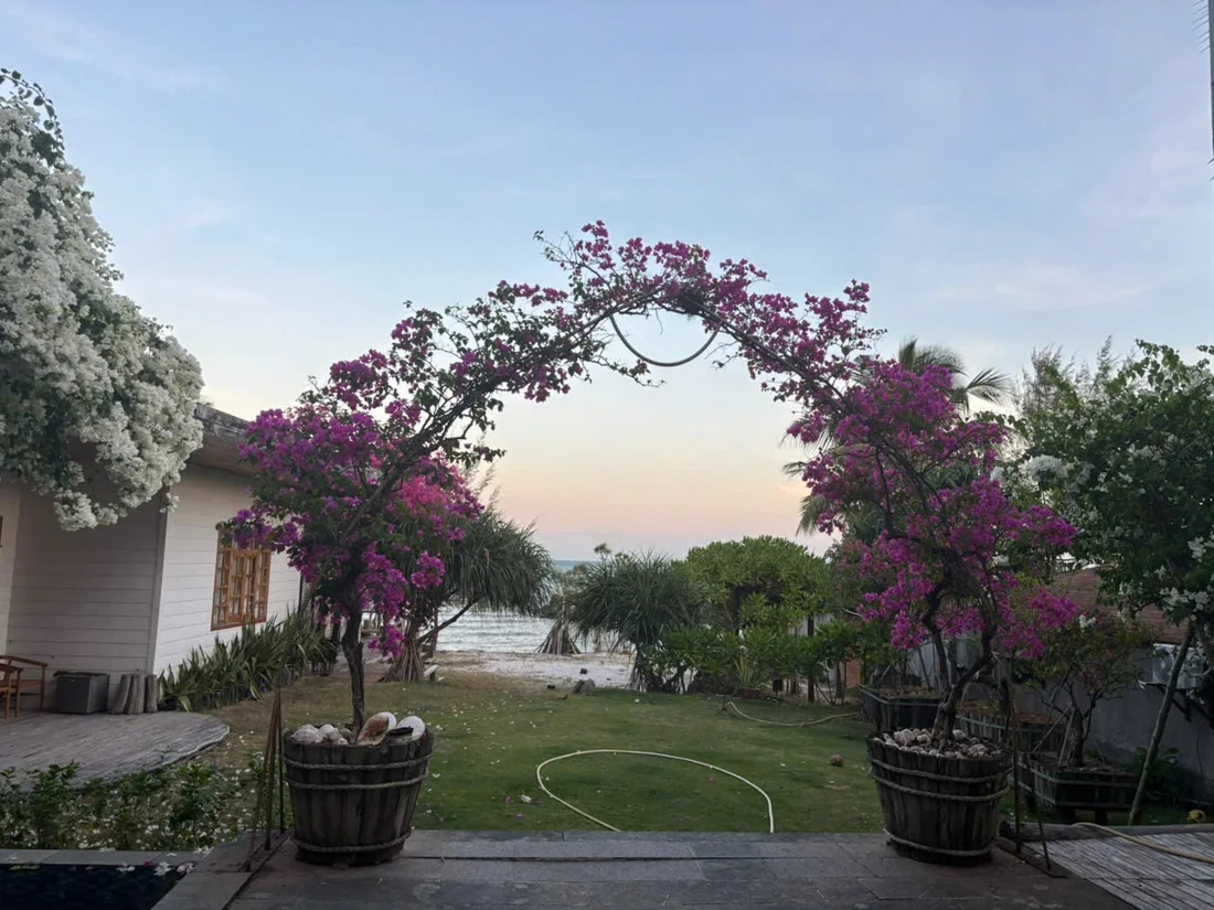 Cổng hoa giấy trong vườn
